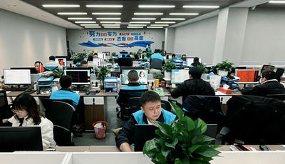 Pingxiang Lianjin Cheng Technology Co., Ltd