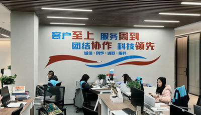 Pingxiang Lianjin Cheng Technology Co., Ltd